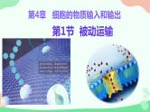 【核心素养】人教版高中生物必修一4.1《被动运输》课件＋课时练习＋教案（含教学反思）