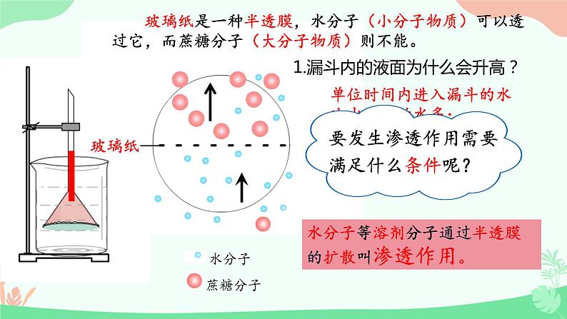 【核心素养】人教版高中生物必修一4.1《被动运输》课件＋课时练习＋教案（含教学反思）05