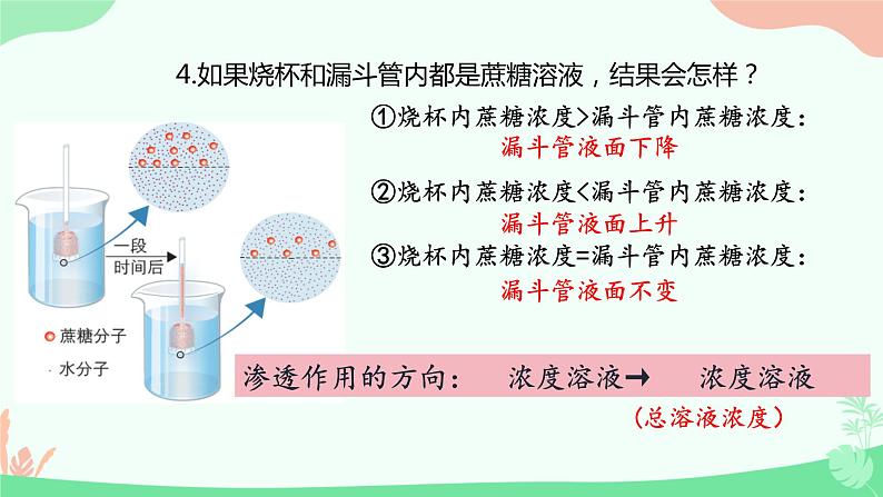 【核心素养】人教版高中生物必修一4.1《被动运输》课件＋课时练习＋教案（含教学反思）07