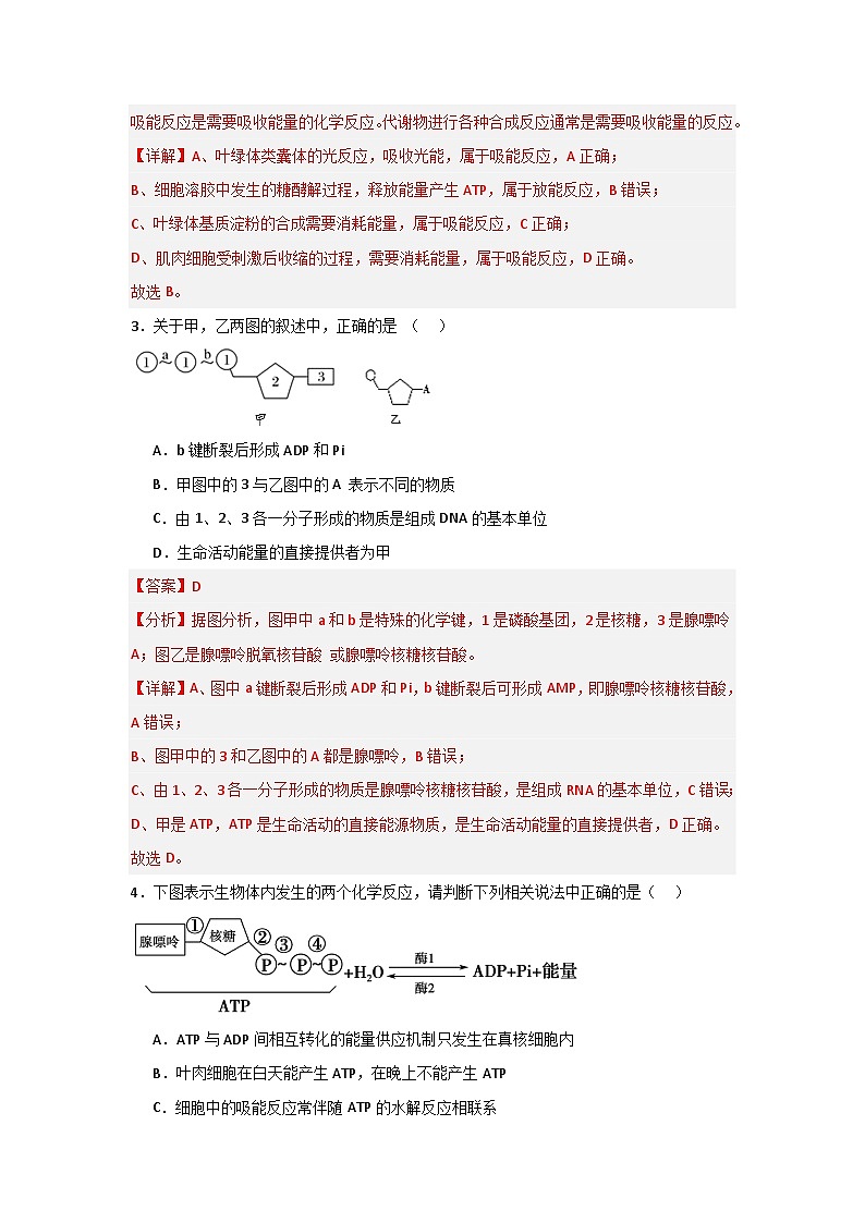 【核心素养】人教版高中生物必修一5.2《细胞的能量货币ATP》课件＋课时练习＋教案（含教学反思）02