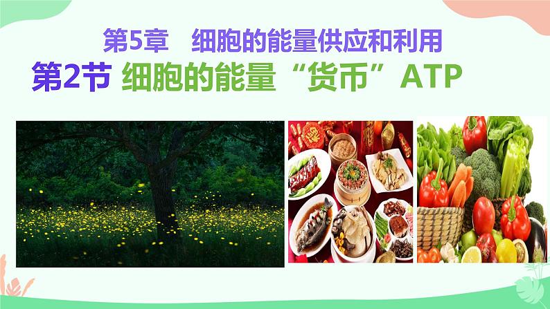 【核心素养】人教版高中生物必修一5.2《细胞的能量货币ATP》课件＋课时练习＋教案（含教学反思）01