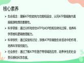 【核心素养】人教版高中生物必修一5.2《细胞的能量货币ATP》课件＋课时练习＋教案（含教学反思）