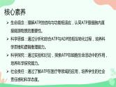 【核心素养】人教版高中生物必修一5.2《细胞的能量货币ATP》课件＋课时练习＋教案（含教学反思）