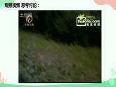【核心素养】人教版高中生物必修一5.2《细胞的能量货币ATP》课件＋课时练习＋教案（含教学反思）