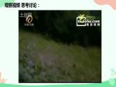 【核心素养】人教版高中生物必修一5.2《细胞的能量货币ATP》课件＋课时练习＋教案（含教学反思）