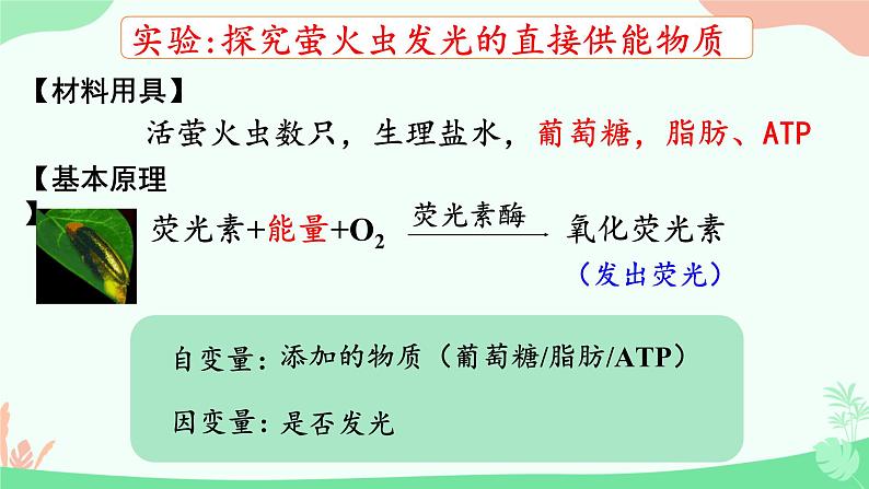 【核心素养】人教版高中生物必修一5.2《细胞的能量货币ATP》课件＋课时练习＋教案（含教学反思）06