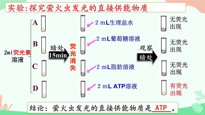 【核心素养】人教版高中生物必修一5.2《细胞的能量货币ATP》课件＋课时练习＋教案（含教学反思）07