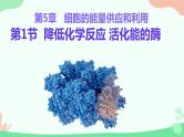 【核心素养】人教版高中生物必修一5.1《降低化学反应活化能的酶》课件＋课时练习＋教案（含教学反思）