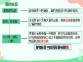 【核心素养】人教版高中生物必修一5.1《降低化学反应活化能的酶》课件＋课时练习＋教案（含教学反思）