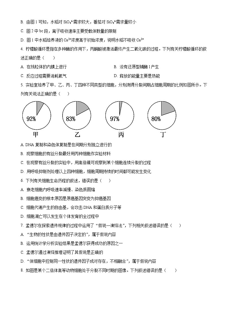 湖南省岳阳市华容县2023-2024学年高一下学期期末考试生物试题 Word版无答案第2页