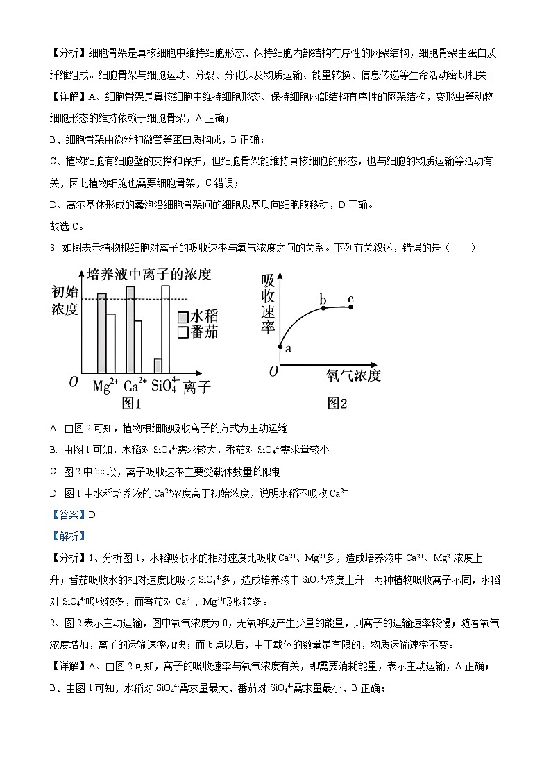 湖南省岳阳市华容县2023-2024学年高一下学期期末考试生物试题 Word版含解析第2页