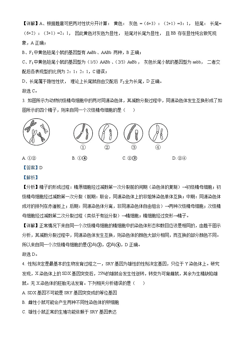 湖南省邵阳市邵东市223-2024学年高一下学期期末考试生物试题（Word版附解析）02