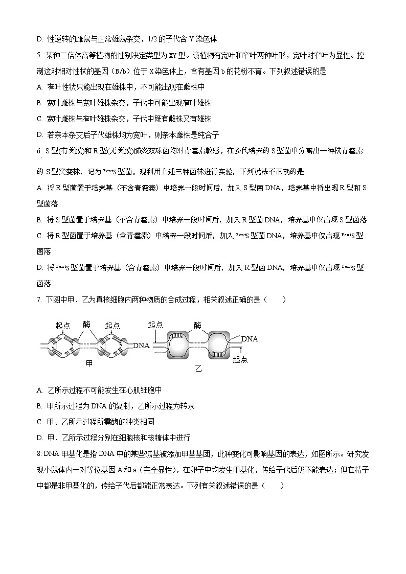 湖南省邵阳市邵东市223-2024学年高一下学期期末考试生物试题（Word版附解析）02