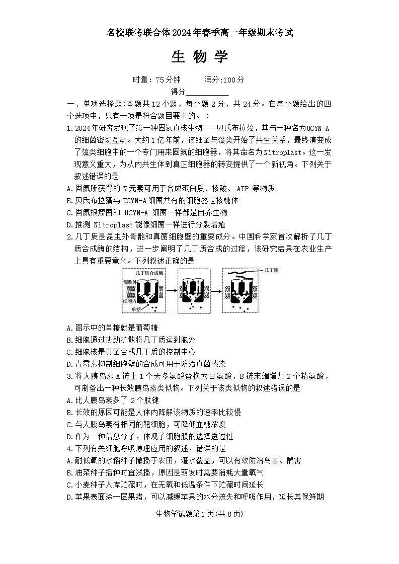 湖南省名校联考联合体2023-2024学年高一下学期期末考试生物试题第1页