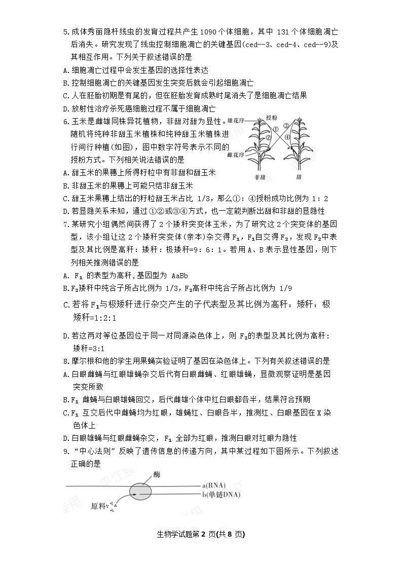 湖南省名校联考联合体2023-2024学年高一下学期期末考试生物试题第2页