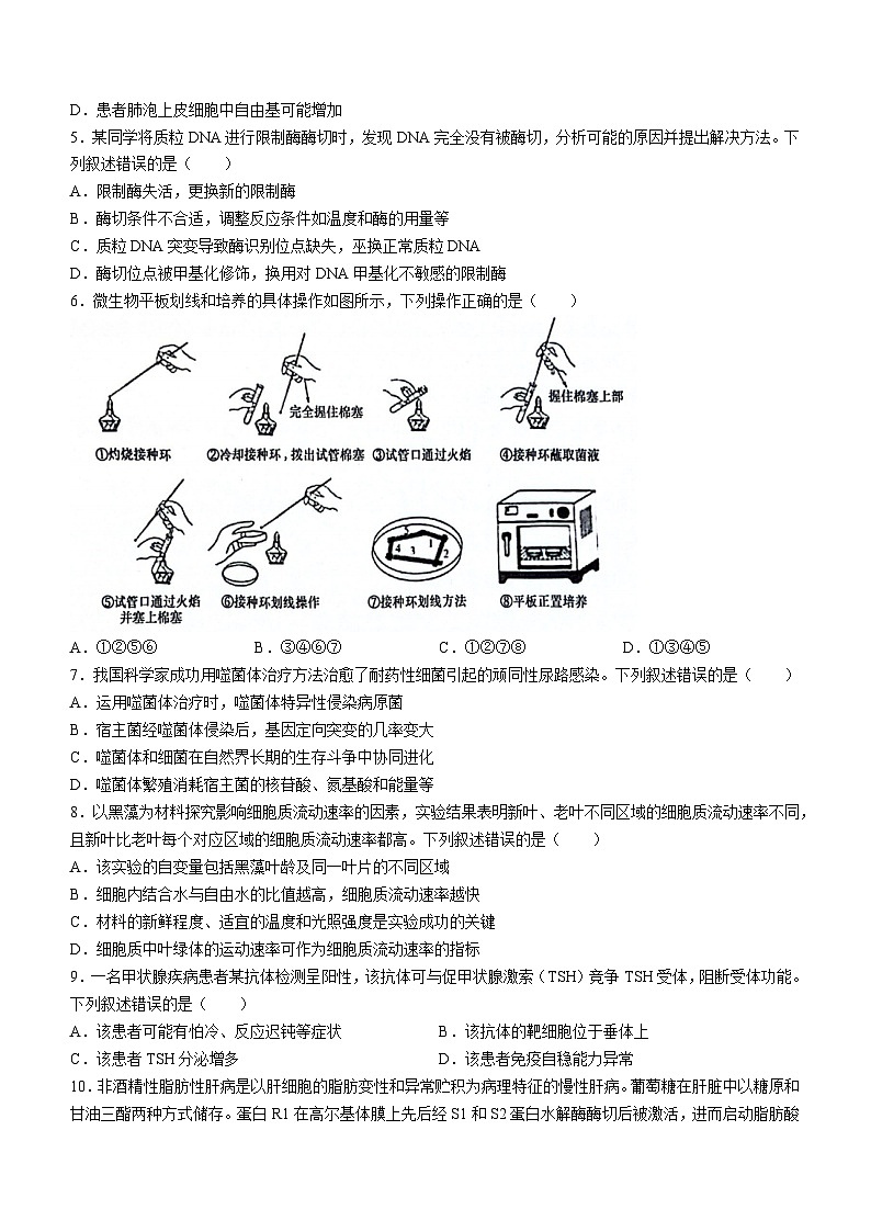 2024年新课标湖南高考真题生物试卷(无答案)02
