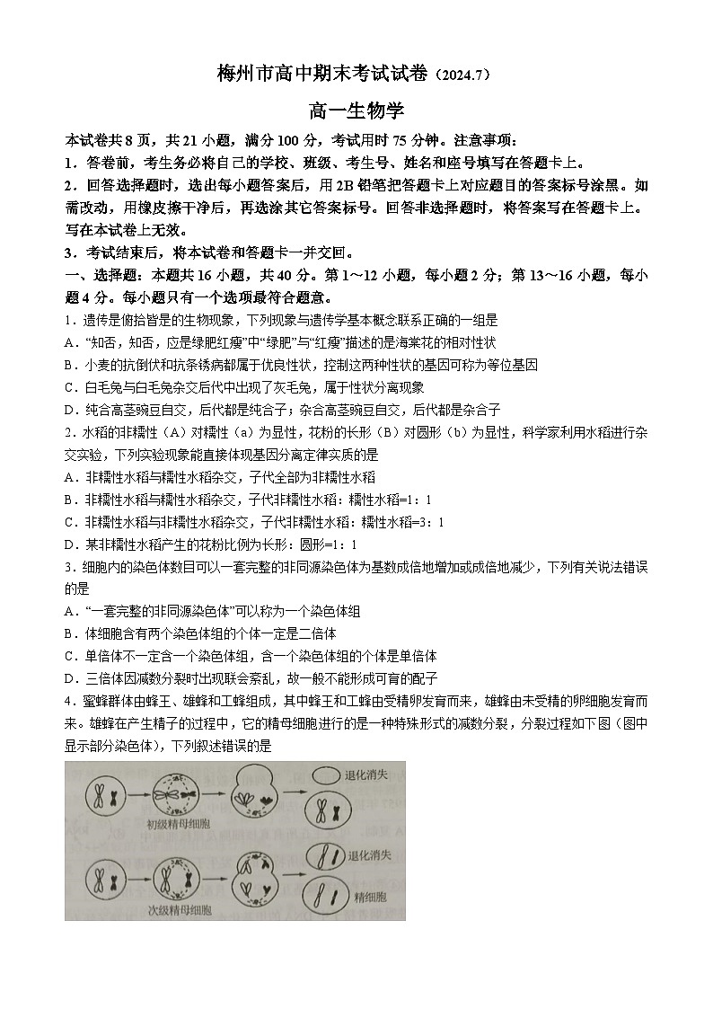 广东省梅州市2023-2024学年高一下学期期末联考生物试卷(无答案)01