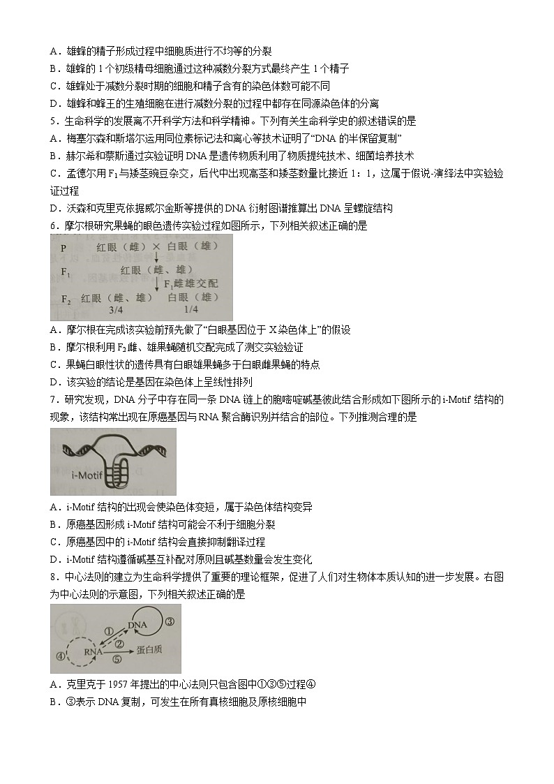广东省梅州市2023-2024学年高一下学期期末联考生物试卷(无答案)02