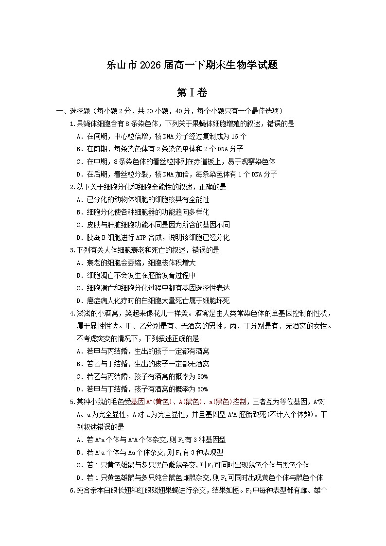 四川省乐山市2023-2024学年高一下学期期末考试生物试题01