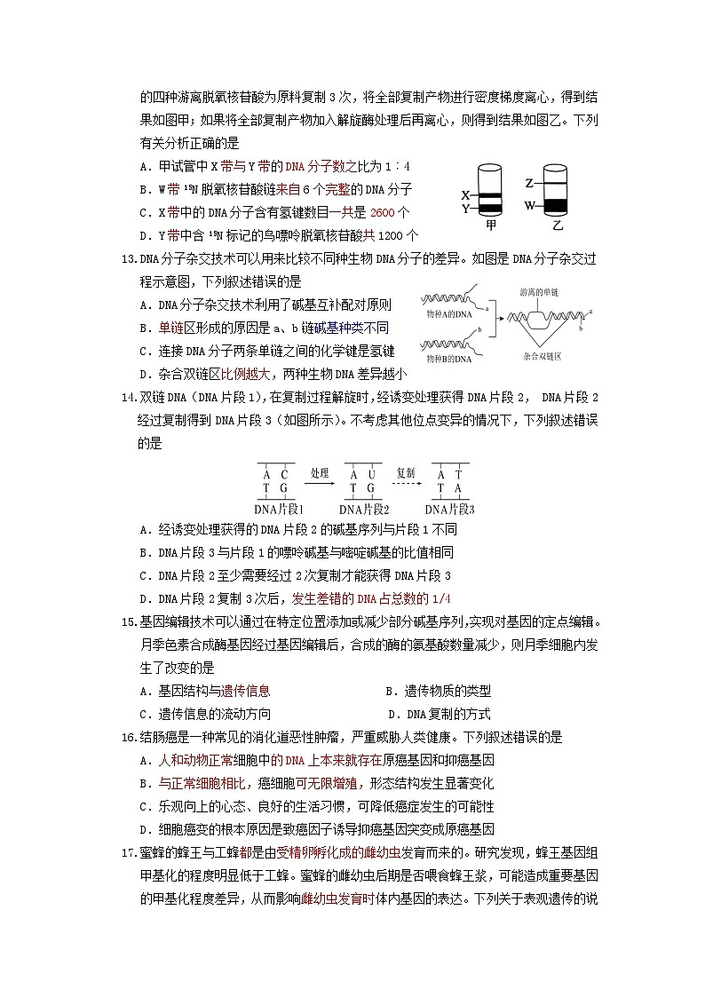 四川省乐山市2023-2024学年高一下学期期末考试生物试题03