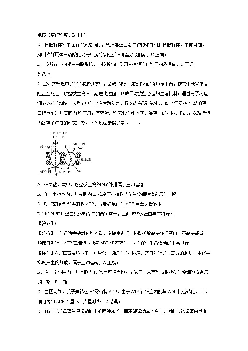 [生物]湖北省部分学校2023—2024学年高三下学期模拟考试押题卷(一)(解析版)第2页