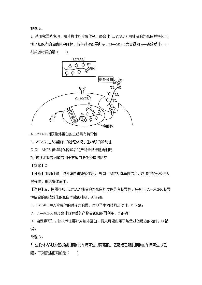 [生物][三模]广西河池市2023-2024学年高三三模试卷(解析版)第2页