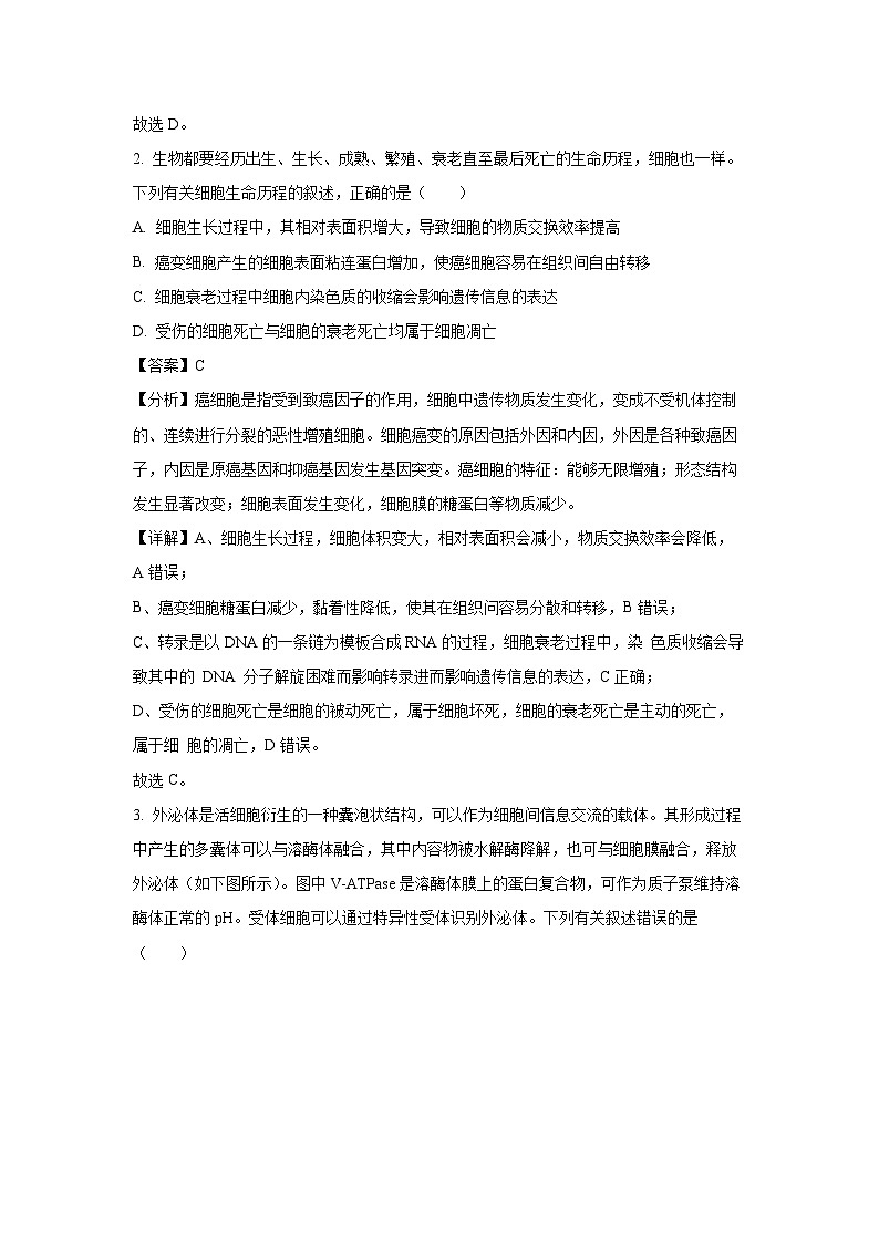 [生物]江西省新八校2024年高三第二次联考试卷(解析版)02