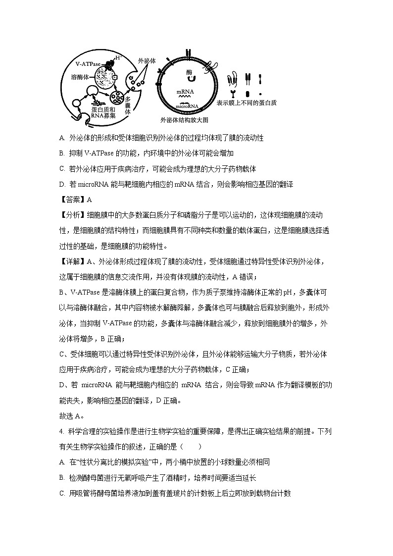 [生物]江西省新八校2024年高三第二次联考试卷(解析版)03