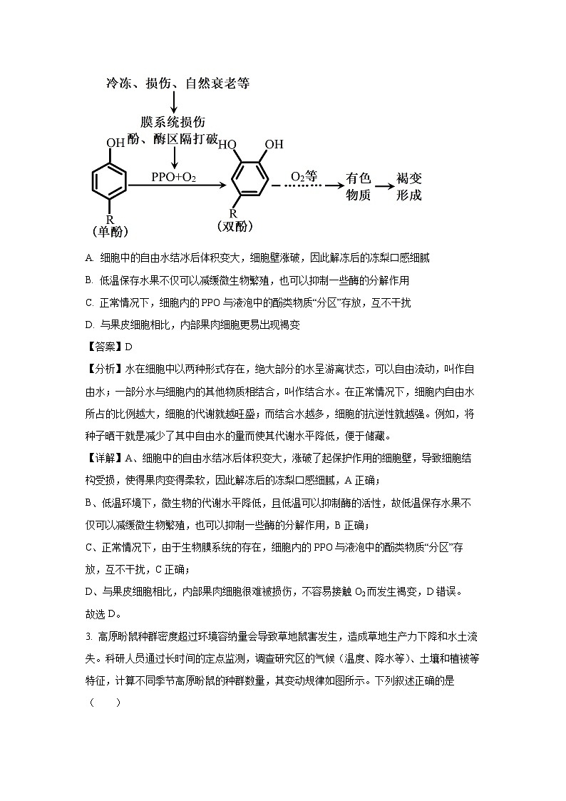 [生物]2024届甘肃省张掖市某校高三下学期适应性考试(二)(解析版)第2页