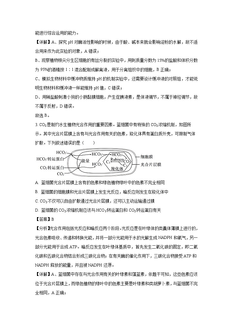 [生物]2024届甘肃省张掖市某校高三下学期5月适应性考试(解析版)02