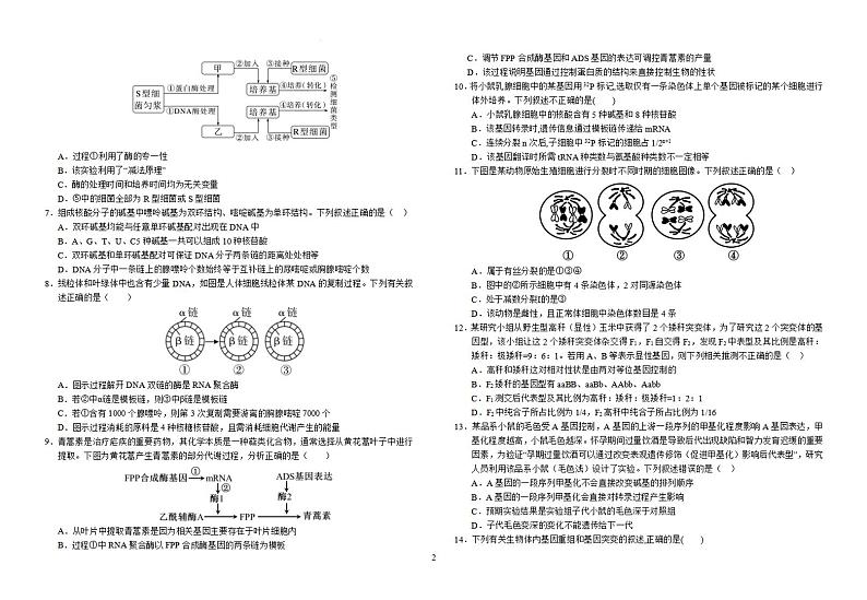 安徽省六安市金安区安徽省六安第一中学2023-2024学年高一下学期6月期末生物试题02