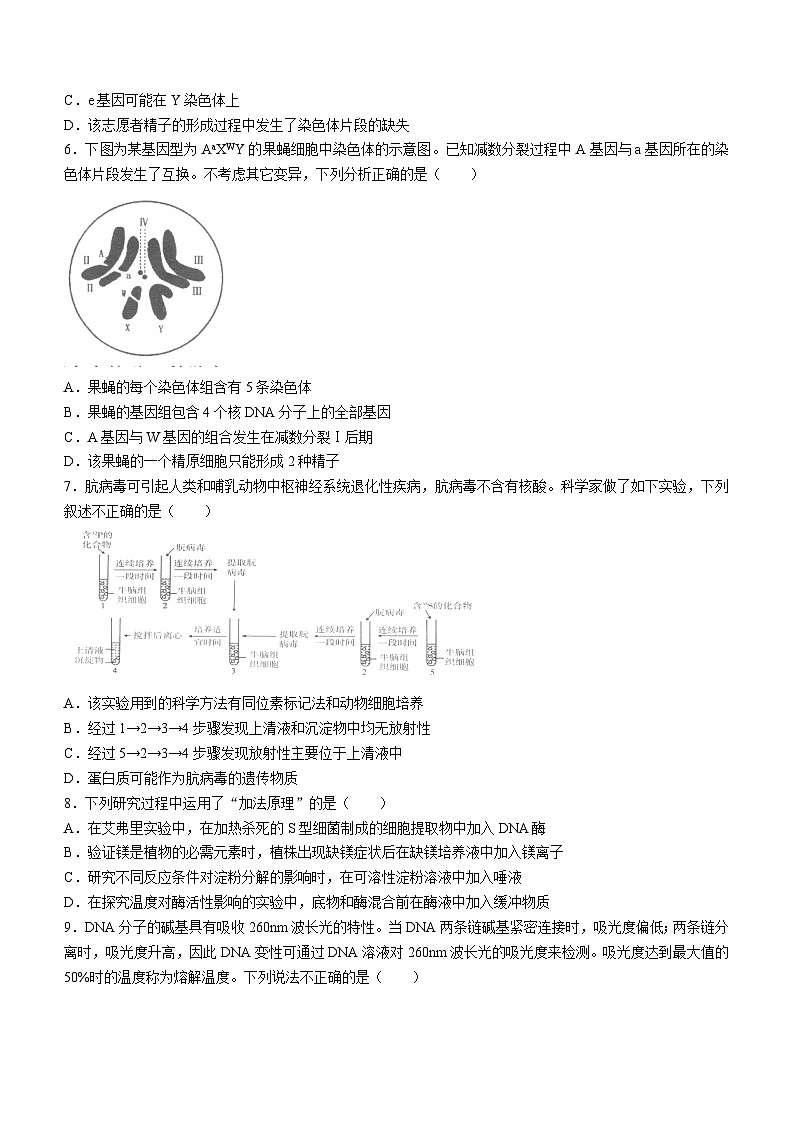 河南省许昌市2023—2024学年高一下学期期末考试生物试题(无答案)02