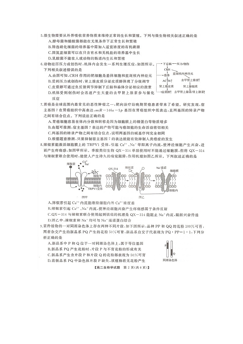 湖南省部分学校2023-2024学年高二下学期7月期末考试生物试题第2页