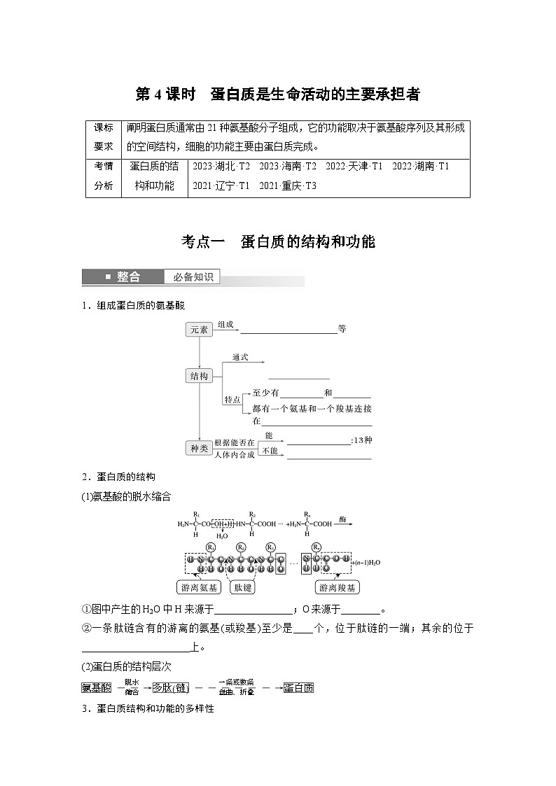 第一单元　第4课时　蛋白质是生命活动的主要承担者（学生版）第1页