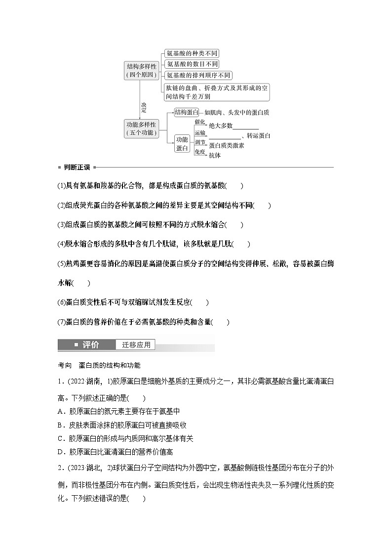 第一单元　第4课时　蛋白质是生命活动的主要承担者（学生版）第2页