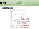 第一单元　第四课时　蛋白质是生命活动的主要承担者-2025年高考生物大一轮复习课件
