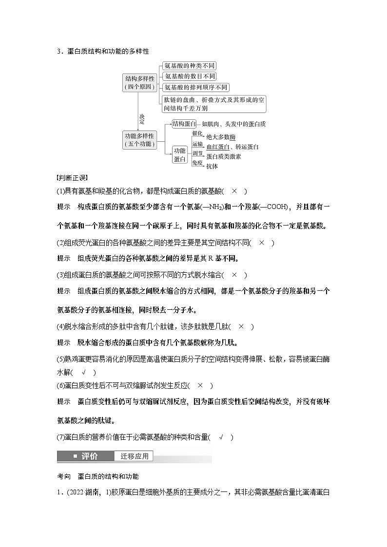 第一单元　第4课时　蛋白质是生命活动的主要承担者（教师版）第2页