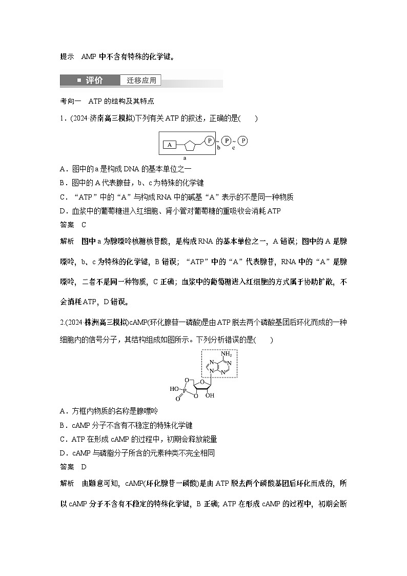 第三单元　第12课时　细胞的能量“货币”ATP（教师版）第2页