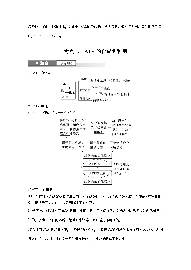 第三单元　第12课时　细胞的能量“货币”ATP（教师版）第3页
