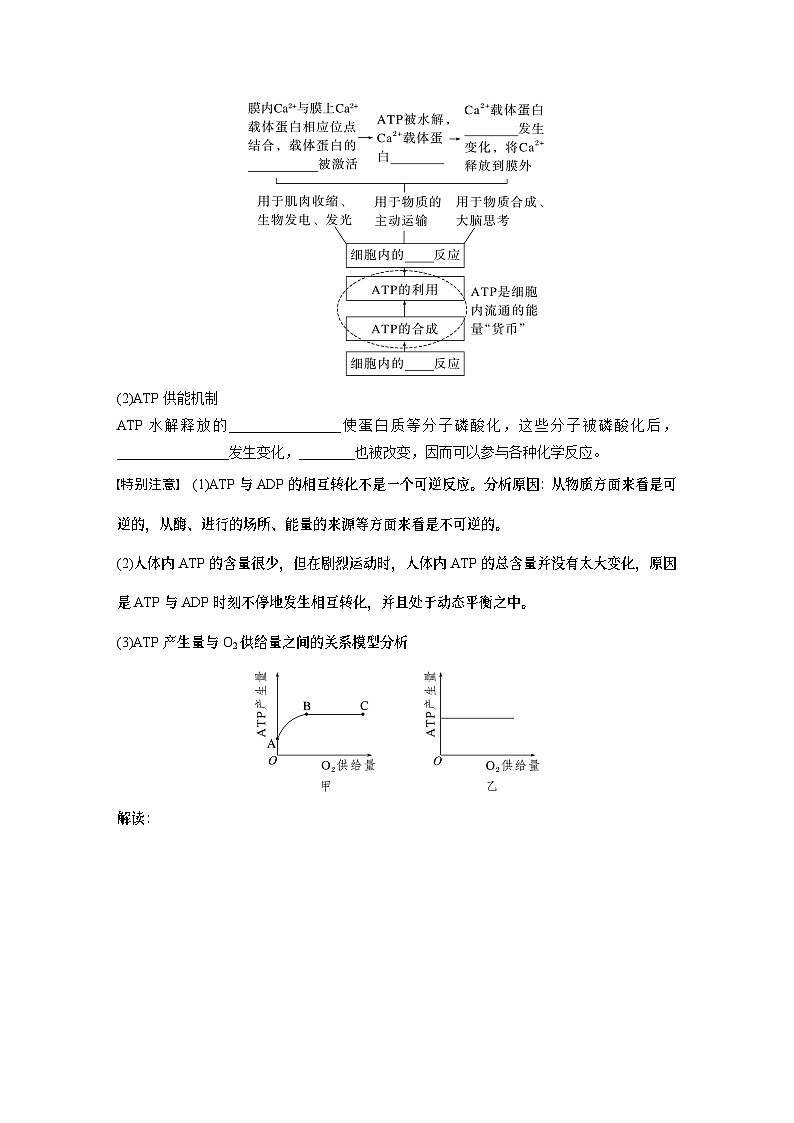 第三单元　第12课时　细胞的能量“货币”ATP（学生版）第3页