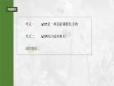 第三单元　第十二课时　细胞的能量“货币”ATP-2025年高考生物大一轮复习课件