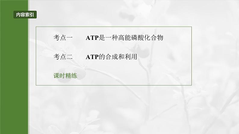 第三单元　第十二课时　细胞的能量“货币”ATP-2025年高考生物大一轮复习课件03