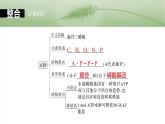 第三单元　第十二课时　细胞的能量“货币”ATP-2025年高考生物大一轮复习课件