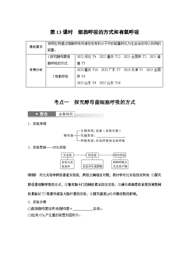 第三单元　第十三课时　细胞呼吸的方式和有氧呼吸-2025年高考生物大一轮复习课件01