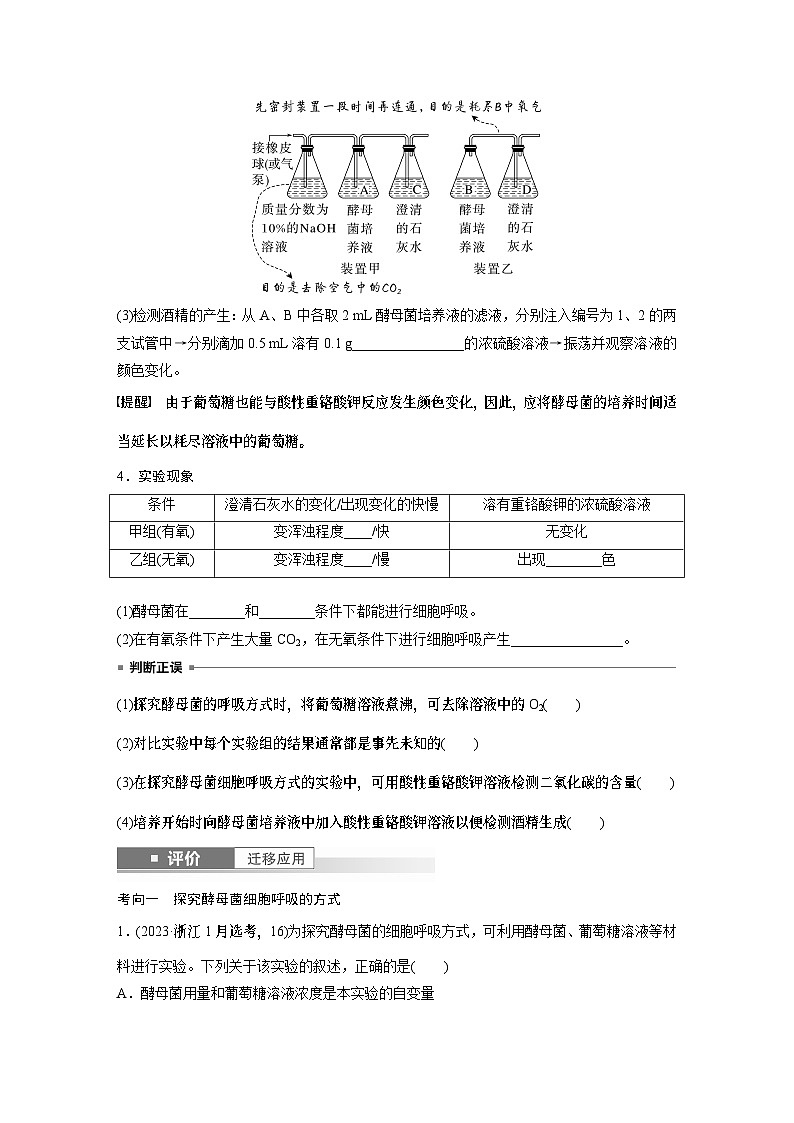 第三单元　第十三课时　细胞呼吸的方式和有氧呼吸-2025年高考生物大一轮复习课件02