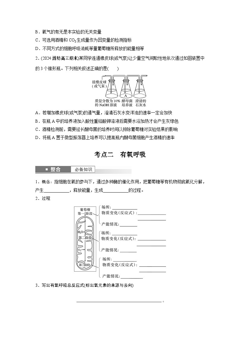 第三单元　第十三课时　细胞呼吸的方式和有氧呼吸-2025年高考生物大一轮复习课件03