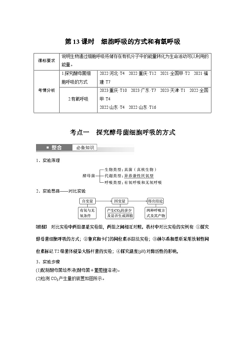 第三单元　第十三课时　细胞呼吸的方式和有氧呼吸-2025年高考生物大一轮复习课件01
