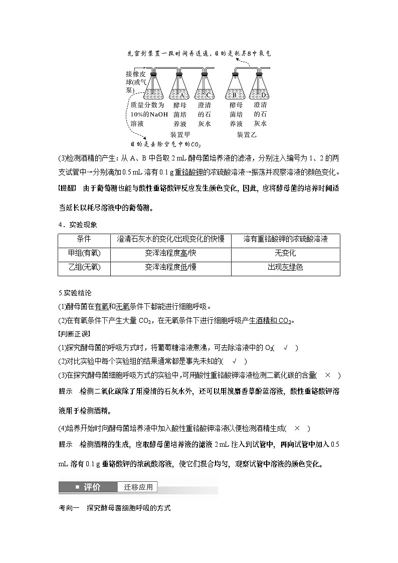第三单元　第十三课时　细胞呼吸的方式和有氧呼吸-2025年高考生物大一轮复习课件02