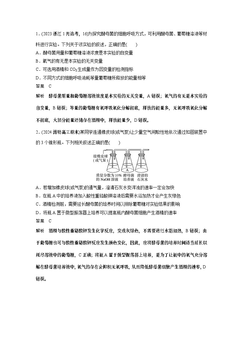 第三单元　第十三课时　细胞呼吸的方式和有氧呼吸-2025年高考生物大一轮复习课件03