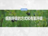 第三单元　第十三课时　细胞呼吸的方式和有氧呼吸-2025年高考生物大一轮复习课件